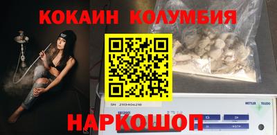 СК Гатчина