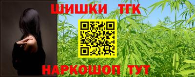 СК Гатчина