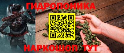 СК Гатчина