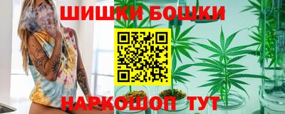 СК Гатчина
