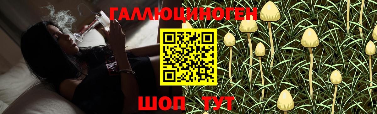 Псилоцибиновые грибы Psilocybe  Галлюциногенные грибы Cubensis  Корсаков  Вход с VPN 